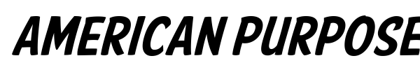 American Purpose Casual font preview